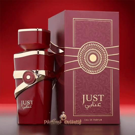 Perfume JUST ANABI-100ml-Fragrance World perfume oriental