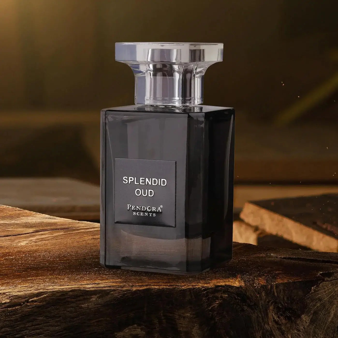 Perfume SPLENDID OUD- Paris Corner