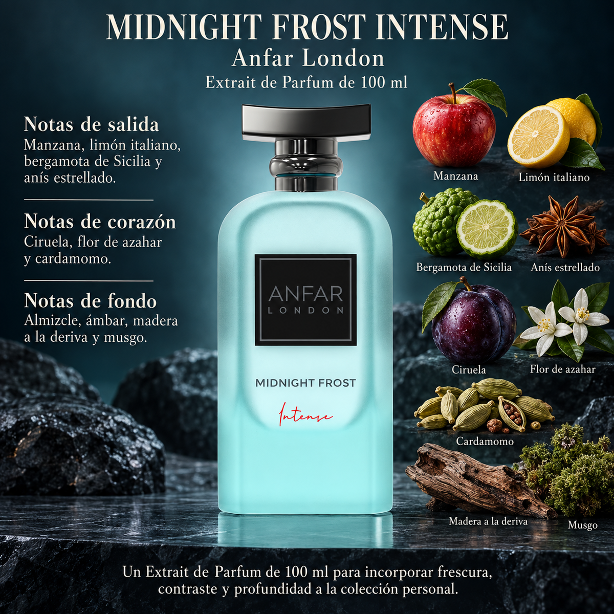 Midnight Frost Intense de Anfar London con sus notas de salida, corazón y fondo ilustradas y descritas en español.