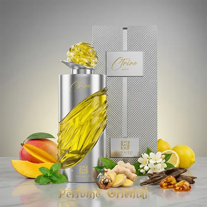 ctrine ahmed al maghribi perfume arabe 100ml con caja extrait fragancia fresca afrutada con fondo amaderado elegante